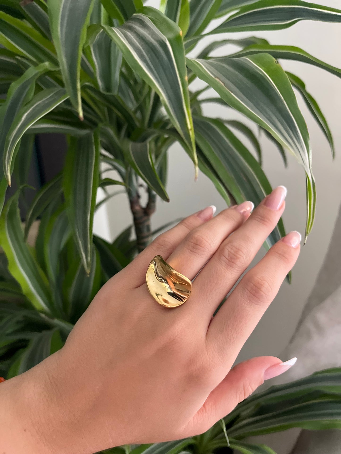 Anillo curvo